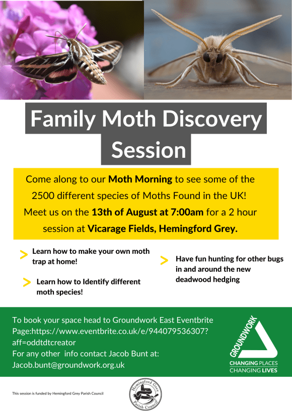 Family Moth Discovery Session